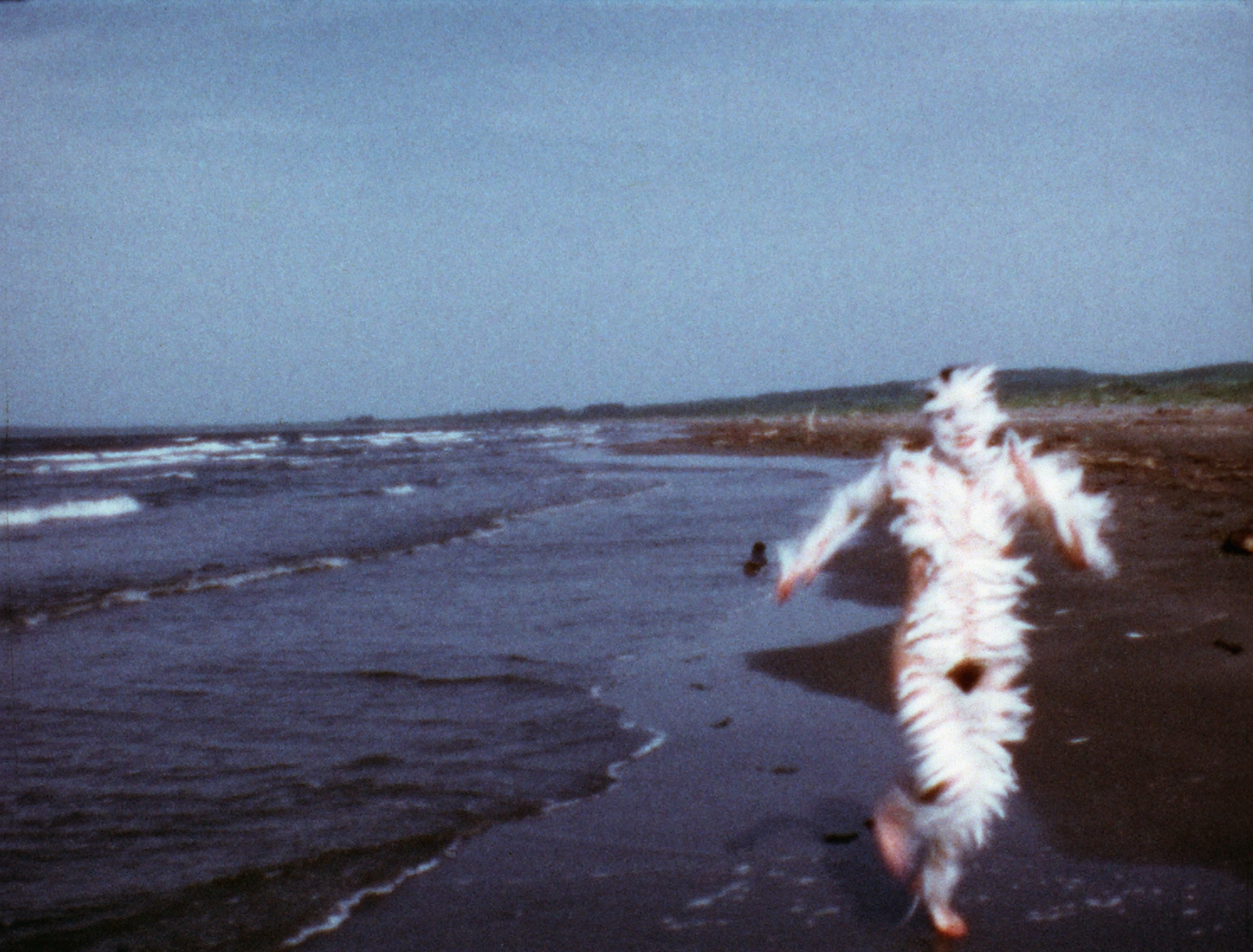 Ana Mendieta @ Tate Modern